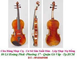 Đàn Violin - Violon - Bán Đàn Violin / Violon Nhật - Mỹ - Trung Quốc - Tp. hcm