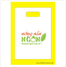 Tp. Hà Nội: in túi nilon các kiểu tại Hà nội, nhanh đẹp, rẻ chất lượng RSCL1077055