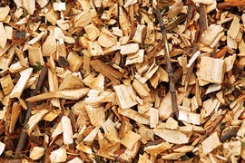 Tìm nhà cung cấp Gỗ vụn (Wood Chips)