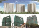 Tp. Hồ Chí Minh: bán căn hộ harmona chiết khấu lên đến 200tr, căn hộ harmona giá rẻ CL1093974P9