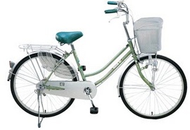 Xe đạp Asama inox, xe đạp Martin chính hãng-Cơ hội mua sắm và sở hữu với giá ưu/ đ