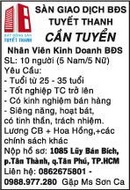 Tp. Hồ Chí Minh: Sàn Giao Dịch BĐS Tuyết Thanh Cần Tuyển Nhân Viên Kinh Doanh CL1105867P10