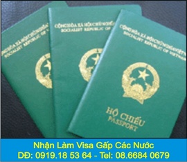 chuyên thẻ tạm trú, visa nhanh, thị thực, passport giá rẻ
