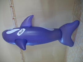 Bán 01 phao tắm cá heo mới đẹp, dài 1,60m
