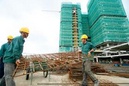 Tp. Hà Nội: Lưới xây dựng, lưới an toàn, trang thiết bị bảo hộ lao động CL1139007P2
