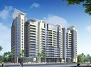 Tp. Hà Nội: Xala ha dong, chung cu xala, can ho xala, 73. 3m2 bán gấp gấp gấp CL1108821