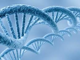 Bán Tag DNA polymerase và các hóa chất sinh học phân tử, hóa chất nuôi cấy mô