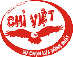 cty chi viet