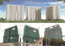 Tp. Hồ Chí Minh: chủ đầu tư cần bán căn hộ harmona giảm giá tri ân KH CL1119679P8