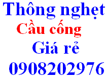 thông nghẹt cầu 0908 202 976