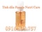 [2] Tinh dầu Fanola Nutri Care - Chăm sóc, tái tạo và phục hồi tóc hư tổn