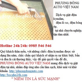 phuongdongauto.com