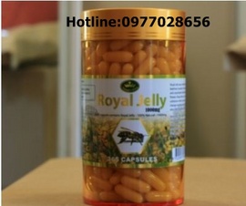 Sữa ong chúa úc royal jelly - Sữa ong chúa chống lão hóa, nám, sạm da