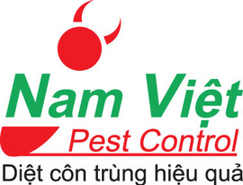 Nam Việt Pest Control : dịch vụ diệt mối, diệt muỗi hiệu quả tại Tp HCM