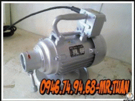 Động cơ đầm dùi Jinlong 1.38kw/380v