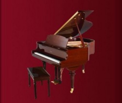 Đàn Piano Essex EGP 155R