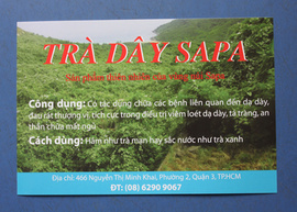 Trà dây SAPA-chữa dạ dày, tá tràng-ăn ngủ tốt