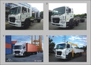 Đồng Nai: Xe tải nặng nhập khẩu HD170 ( 8,5T), HD 320 ( 19T) CL1232102P7