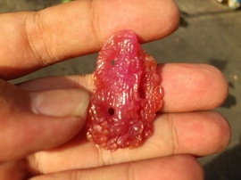 Mặt dây chuyền quan âm cưỡi rồng bằng ruby thiên nhiên việt nam