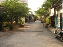 Tp. Hồ Chí Minh: Đất sổ đỏ, đường nhựa 6m, Thị trấn Nhà Bè, 5x19,11 tr/ m CL1194644P2