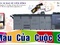 [1] Địa chỉ chuyên thiết kế và in Catalogue giá rẻ tại Hà