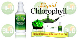 Nước diệp lục - chlorophyll (synergy)