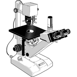 Kính Hiển Vi 3 Mắt