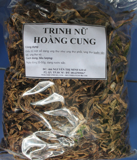 Trinh Nữ Hoàng Cung-Chữa u xơ tốt