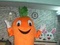 [1] nhận may, bán và cho thuê mascot trái cà rốt giá rẻ