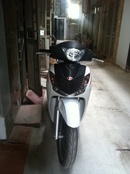 Tp. Hà Nội: ban xe shi 125cc Viet con moi chat mien ban mau trang dep long lanh gia 94trieu CL1200048P3