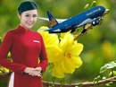 Tp. Hồ Chí Minh: Vé máy bay Tết 2014 Vietnam Airlines CL1213603