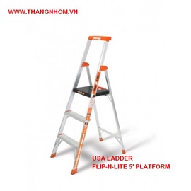 Little Giant Ladder