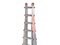 [1] Little Giant Ladder
