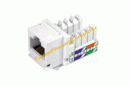 Tp. Hà Nội: Nhân AMP CAT 5, CAT 6 chính hãng AMP hàng của USA CL1217893P1