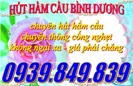 hut ham cau binh duong