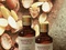 [2] Tinh dầu Argan hữu cơ thiên nhiên - Chăm sóc hoàn hảo cho da, tóc, móng