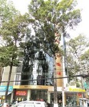 Tp. Hồ Chí Minh: Cho thuê văn phòng quận 5 Nguyễn Tri Phương Building RSCL1069078