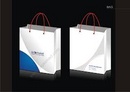 Tp. Hà Nội: In túi giấy mua sắm - túi giấy thời trang cao cấp sành điệu - giá cạnh tranh CL1222697