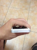 Tp. Hồ Chí Minh: Cần bán iphone 5 64gb còn bảo hành 6th trên Apple store giá 11tr7 CL1229137P4