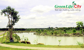 Dự án Green Life City