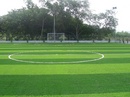 Tp. Hồ Chí Minh: Toàn Quốc - Thi công sân bóng đá chất lượng uy tín CL1233715
