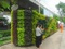 [1] công ty Phú Hưng chuyên thiết kế thi công tường rào , sân vườn