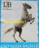 Tp. Hồ Chí Minh: bÁN Cao Ngựa Bạch - tốt cho sức khỏe, tăng đề kháng, GIÁ TỐT RSCL1699528