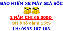 Bảo hiểm xe máy 2 năm = 65. 000đ, Bảo hiểm ô tô giảm 15%. Ship tận nơi