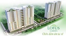 Tp. Hồ Chí Minh: Cho thuê căn hộ Lotus giá rẻ CL1239087