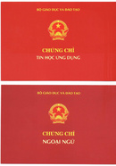 Tp. Hồ Chí Minh: Chứng chỉ quốc gia đảm bảo đậu tin học anh văn 2013 CL1248743P8