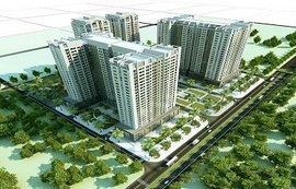 Bán chung cư CT2A Tân Tây Đô – 13,3 triệu/ m2, dt 52-64m, 3/ 2014 giao nhà