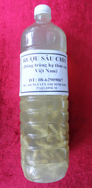 Tp. Hồ Chí Minh: Rượu Sâu Chít--Làmtăng sinh lực, ví như đông trùng hạ thảo của Việt Nam-giá rẻ RSCL1217375