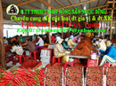 Tp. Hồ Chí Minh: cung cấp ớt xuất khẩu CL1261348P5