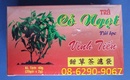 Tp. Hồ Chí Minh: Các loại trà tốt đặc biệt -giúp phòng và chữa bệnh hiệu quả CL1258616